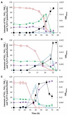 pH Control Enables Simultaneous Enhancement of Nitrogen Retention and N2O Reduction in Shewanella loihica Strain PV-4